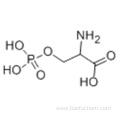 DL-O-Phosphoserine CAS 17885-08-4